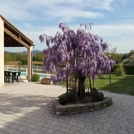 Villa Comfortable With Swimming Pool *