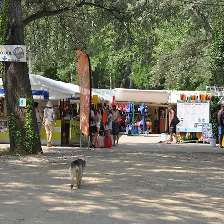 Comfortable With Swimming Pool *