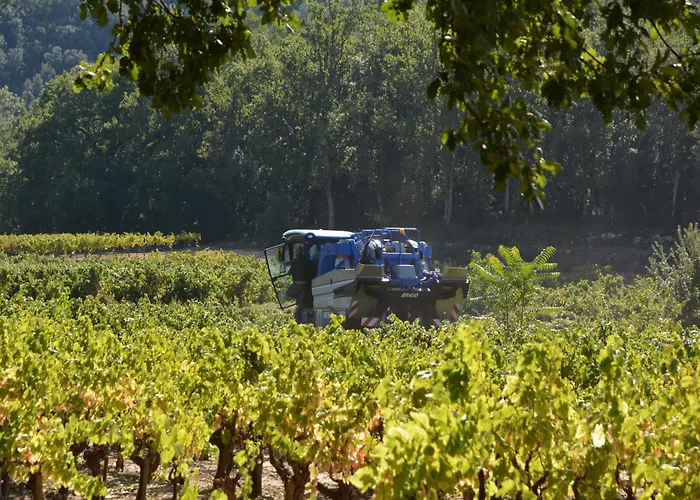 Comfortable With Swimming Pool Villa