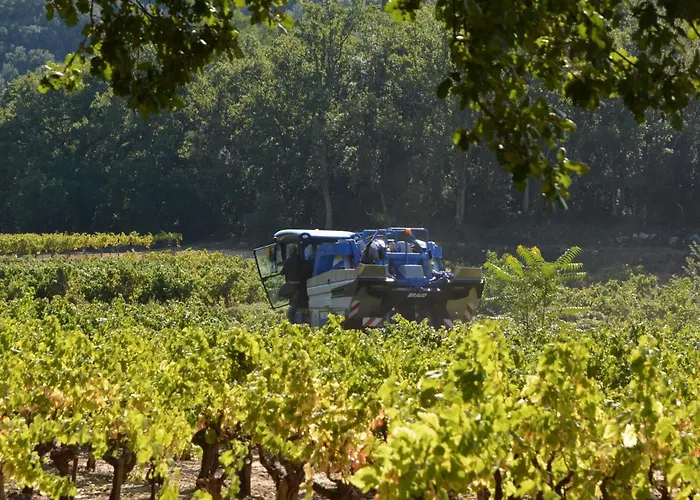 Comfortable With Swimming Pool Villa